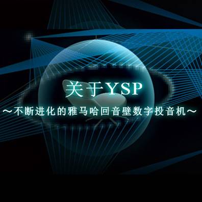 不断进化的利来最给力的老牌回音壁数字投音机