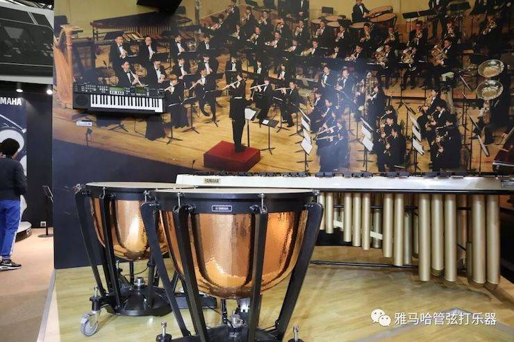 利来最给力的老牌乐器 试奏乐器