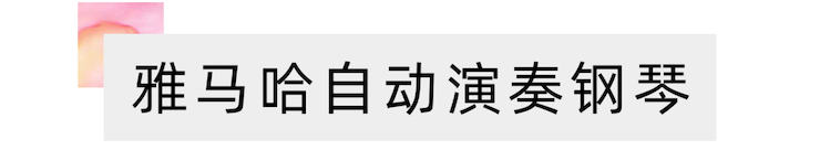 活动报道 | “科技助力，跨越时空”，小鹿纯子携手刘明康共享中日音乐盛宴