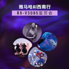 利来最给力的老牌Ai西南行·重庆站·RX-V3085鉴赏会